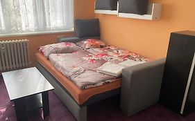 Garsoniera U Lesoparku